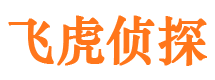 萨嘎侦探公司